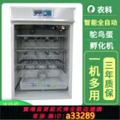 小新嚴選 【台灣公司 可開發票】全自動工業孵化機可孵化鴕鳥蛋鴿子孔雀卵化機家禽養殖智能孵蛋器