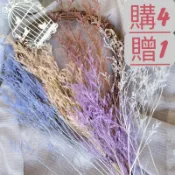 永生卡斯比亞 永生情人草 胸花捧花花束 線條延伸 插花蛋糕花材 網美 情人節花束