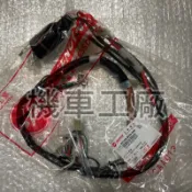 機車工廠 野狼傳奇 傳奇 傳狼 化油板 小錶狼 配線 配線組  雙表 非R板 SANYANG 正廠零件