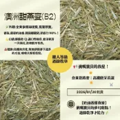甜燕麥(B2款)※《富兔康》♥澳洲甜燕麥(B2)100克＆400克。牧草/兔子草/過篩牧草