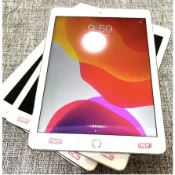 蘋果 APPLE iPad 5/6 台灣公司貨功能正   iPad Mini5 2021版 64G
