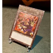 花神-遊戲王同人代卡 浮雕凸版  武藤遊戲&天空龍 Token代幣 值得收藏-：