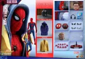 現貨 HOT TOYS  MMS426 蜘蛛人 返校日 豪華版