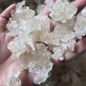 A級雪燕 紅棗銀耳蓮子配料雪燕組合 雜質非常少 純天然雪燕
