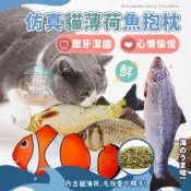 【台灣現貨🔥24H出貨】貓草抱枕 玩具 貓薄荷魚玩具 貓薄荷魚 貓咪解壓玩具 魚造型貓抱枕 寵物仿真魚玩具 解壓貓草玩具