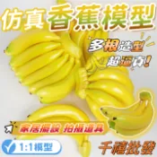 仿真香蕉模型 道具 學校教具 攝影道具 假水果 仿真香蕉 仿真水果 水果道具 水果模型 櫥窗佈置