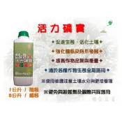 【台肥】農友牌 活力磷寶 (1公斤 / 5公斤) ✦溶磷菌肥料✦、✦促進生長✦、✦強化植株及根系發展✦、✦活化土壤✦