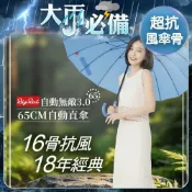 雨傘王 商城旗艦｜BigRed 自動無敵 16骨 長傘 颱風傘 超防風 大傘面  直傘 抗翻 終身免費維修
