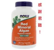 素食鈣 海藻鈣 Red Mineral Algae 250mg 180顆 紅藻鈣 鎂 D《Now Foods》美國健而婷