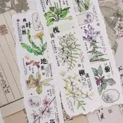 本草綱目 漢方薬植物 古風花卉 PET 和紙膠帶 10米卷
