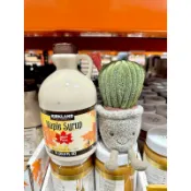 『仙人掌哥』 | 楓糖漿 科克蘭 100%楓糖漿 Maple Syrup 楓糖 Kirkland