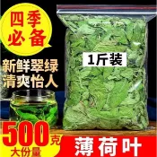 新貨 頭茬薄荷葉500g薄荷葉茶幹薄荷葉薄荷葉新鮮食用新鮮清涼薄荷葉泡茶薄荷水
