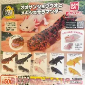 《$uper Toys》全新現貨 扭蛋 轉蛋 生物大圖鑑 六角恐龍 爬蟲類 山椒魚 蠑螈 娃娃魚 大鯢 可動 模型 公仔