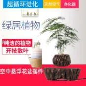 華成 免運�磁懸浮自轉花盆擺件 磁浮植物 空中磁浮盆栽 防輻射懸浮工藝品 漂浮盆栽 抖音爆款 網紅旋轉擺飾創意家居交換禮物