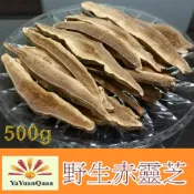 (店+)【亞源泉】野生赤靈芝100g切片