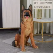 狗狗模型 仿真德牧犬擺件 落地客廳戶外庭院裝飾 寵物雕塑 樹脂 看門狗