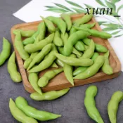 仿真模型 假水果模型 學校教具 假蔬菜仿真毛豆假豆子迷你蔬菜模型兒童認知果蔬玩具水果裝飾道具掛件-需滿299出貨