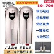 歐賽斯頓開門機 電動平開門機 雙開門機 庭院別墅自動開門 遙控電動大門 智慧防風齒馬達