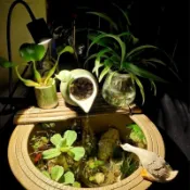 【魚缸配件】古法缸專用魚缸燈養魚陶瓷盆水缸水草補光原生溪流射燈