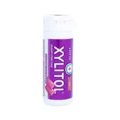 LOTTE樂天 XYLITOL木糖醇無糖口香糖-藍莓薄荷 26.1g【Donki日本唐吉訶德】