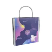 ≡☆阿雪包裝家☆≡ 禮品盒 中秋禮盒 春節禮盒｜飛機盒9入 提把禮盒 月光禮讚｜蛋黃酥盒｜伴手禮盒【10入】