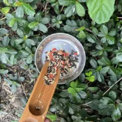 【批發價 超便宜】菊花養生茶茶包 冷泡茶 茶包 菊花 甘草 枸杞 決明子 養生