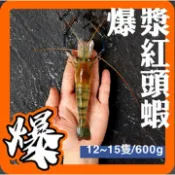 【黑豬泰國蝦】爆漿紅頭蝦/每隻蝦頭均有蝦蛋/市面上極少/稀有100斤挑選出5斤/滿滿蝦蛋