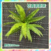 ★爬蟲新樂園★[台灣現貨]爬蟲造景仿真蕨類 波斯蕨 羊齒蕨 聖蕨 點秋綠波斯草 樹棲爬蟲造景 守宮 變色龍 水族造景