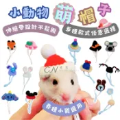 【折扣+免運】倉鼠玩具/倉鼠帽子/倉鼠用品/編織帽子/小帽子/倉鼠衣服/鸚鵡帽子/黃金鼠/三線鼠/布丁鼠/倉鼠毛帽/銀狐