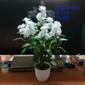 協貿國際日用品生活4館 山茶花假花茉莉花仿真花白色梔子花樹盆栽樹枝壁掛吊掛花塑料裝飾