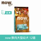 【SofyDOG】now 鮮肉無穀天然糧 大型幼犬配方 12磅 狗飼料 犬糧 大型犬【APP下單天天10%點數回饋】