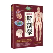 超圖解解剖學：完整了解身體構造與各器官功能(松村讓兒) 墊腳石購物網
