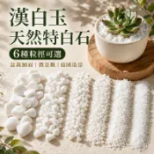 【花園夢想家】漢白玉 特白石 1分 1.2分 約2公斤 花盆造景 庭園 庭院 陽台 白石頭 石頭 裝飾石頭 童話園藝