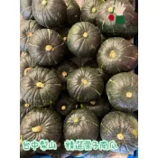 {梨山南瓜} 台灣 台中梨山 精選栗子南瓜 木瓜型南瓜 3公斤 分裝寄出 常溫配送 下單請問小助手