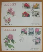 大陸封-★◇--大陸T票首日封---T162---杜鵑花郵票--二封--1991年--少見早期封--◇★