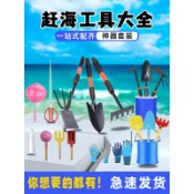 【台灣發貨】赶海工具套装 儿童装备 全套挖沙蛤蜊螃蟹 专用夹子 耙子沙滩 铲子神器