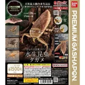 玩具研究中心 現貨 萬代 Premium 轉蛋 生物大圖鑑進擊 水生昆蟲田鱉 全3種 狄式大田鱉 桂花負蝽 水鱟無支架