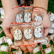 日式梅片 日式梅子片 梅子片 梅片 酸梅片 日式酸梅片 蜜餞 古早味 酸梅 梅子