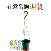 花盆 吊鉤 青山盆 矮款西瓜盆 鹿角 蕨類 觀葉 蘭花 雨林 植物 食蟲植物 ﹝CarnivoRUs 珍奇植物﹞