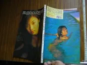 ◎貓頭鷹露天尋星窩◎寫真集專賣-深田恭子COLORS(平裝版)(普級)(TabG02-4)