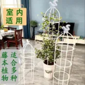 臺灣出貨🔥元元❤️歐式庭院爬藤架陽臺綠植支架可拼接多層飄香藤薔薇花架子室內家用