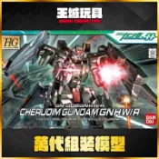 【大頭宅】 萬代 HG 鋼彈00 #48 1/144 智天使鋼彈 GNHW/R版 5055878