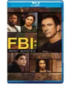 聯邦調查局：通緝要犯 第五季 FBI: Most Wanted Season 5? (2024) 2碟   478-06