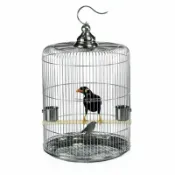 優品屋 公司貨附發票 不銹鋼鳥籠 304新款大號圓形籠子金屬籠防銹鷯哥鳥籠手提式 最低價 快速出貨