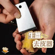 【台灣現貨】生薑去皮器 去皮器 多功能刮皮刨 削皮器 削皮刀 去皮器 刨刀 雹刀 馬鈴薯去皮 刮皮器 刨刀 水果刀