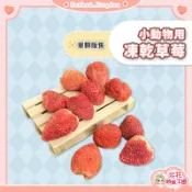 花花萌寵王國🎀 小動物用凍乾草莓 小動物草莓凍乾 小寵草莓凍乾 鼠兔水果乾 倉鼠零食 小動物果乾 小寵零食 鼠兔零食