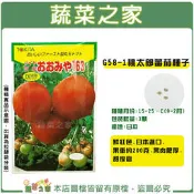【蔬菜之家滿額免運】G58-1.桃太郎番茄種子3顆 果菜種子 番茄種子 種子 大番茄