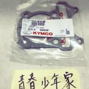 《少年家》光陽 豪邁 V1 V2 奔騰 G3 三冠王 GP 如意 奔馳 XGOING G4 原廠 汽缸墊片