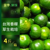 【i郵購】樂咖田庄農場 台灣原生種香檬 4斤/箱