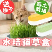 （送種子2包🔥）水培貓草盒 種植貓草 貓咪零食 貓草盆栽 貓草水培盒 貓薄荷 小麥草種子 貓草種籽 貓草種子 高雄店